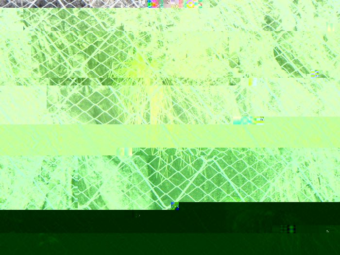 絞索網案例