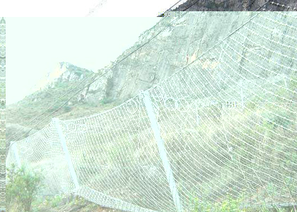 RXI-150環形網