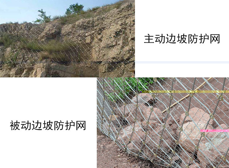 防護網.jpg