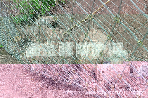 654984657498 拷貝.jpg