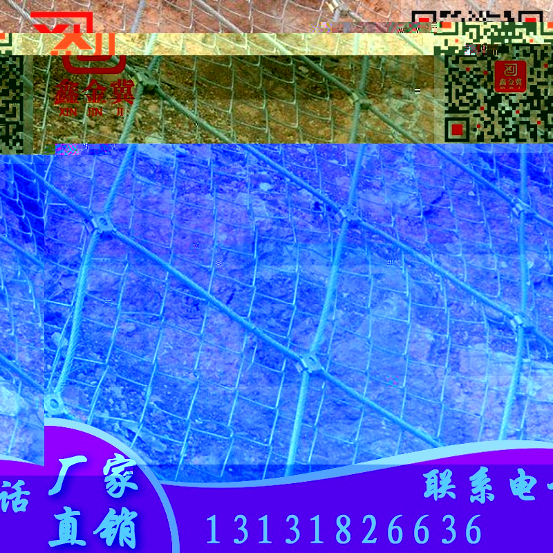 主動網、鋼絲繩網.jpg