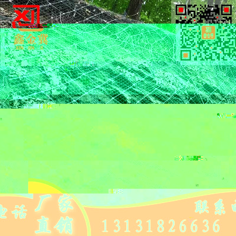 主動防護網.jpg