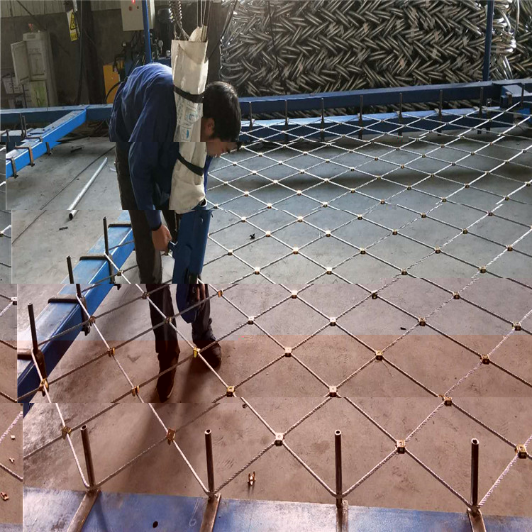 758595838441864009_副本.jpg