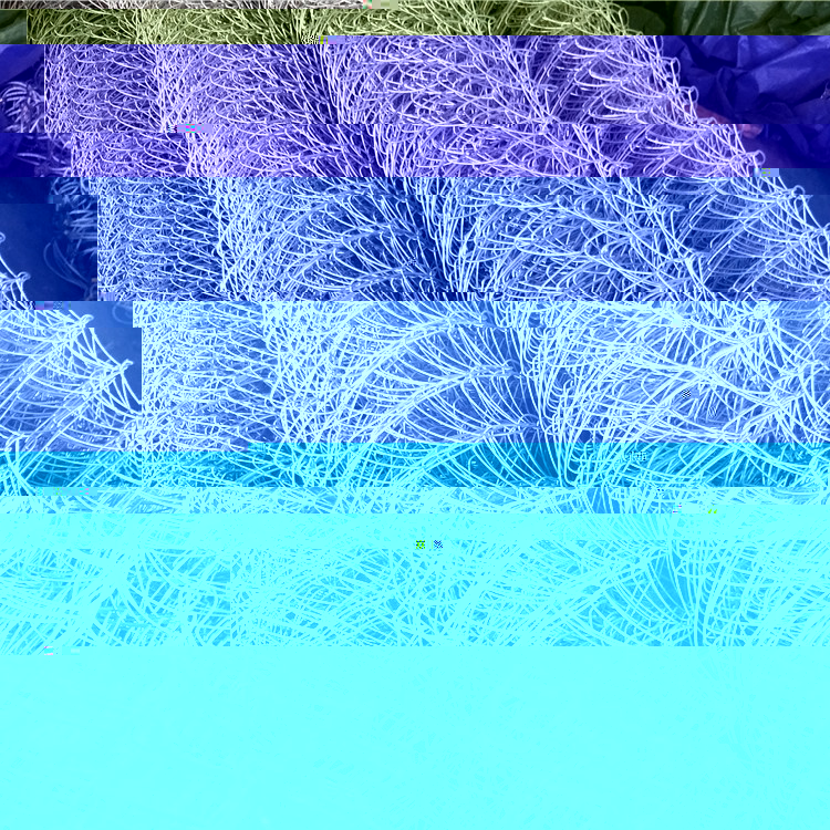 IMG20180721092729.jpg