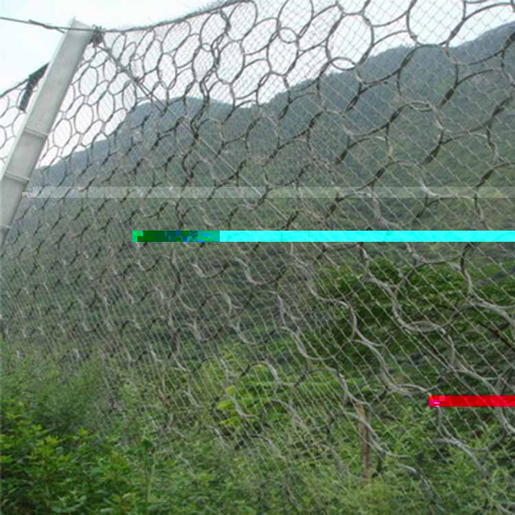 平陽生态綠化被動網 愛喇叭網.jpg