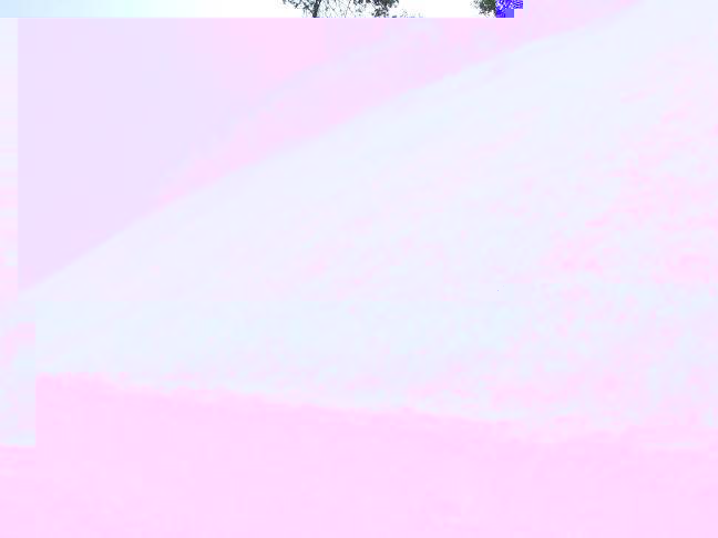 1497193.jpg