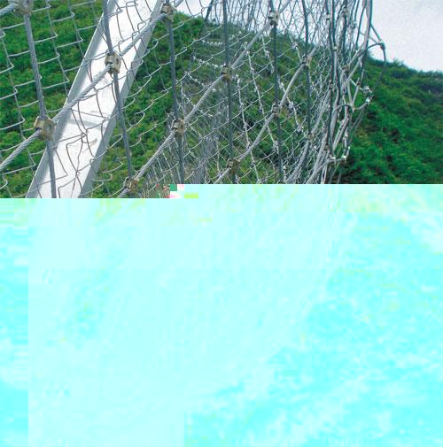 1650938_20157241632552.jpg